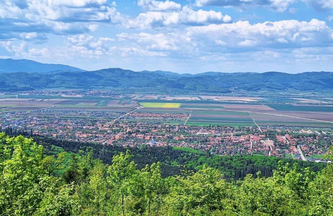 Neustadt Villa Brașov Exterior foto