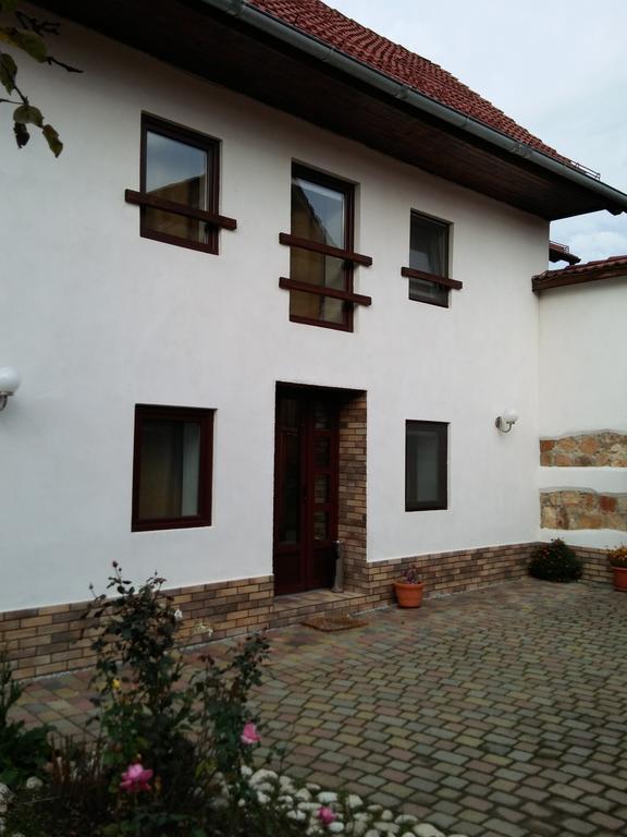 Neustadt Villa Brașov Exterior foto